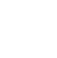 ins_icon
