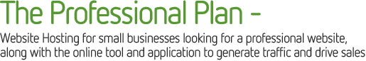 The Professional Plan – Website Hosting for small businesses looking for a professional website, along with the online tool and application to generate traffic and drive sales